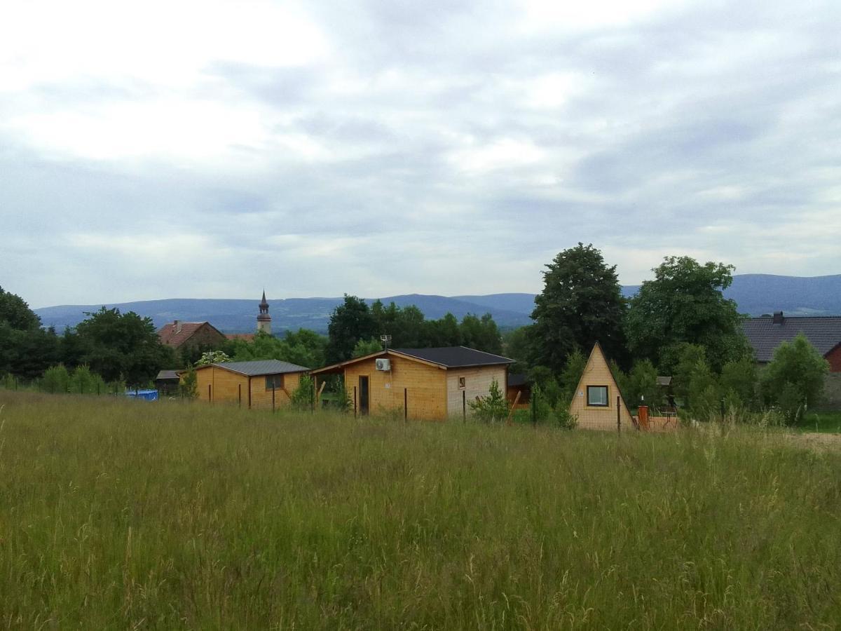 Szalas W Gorach Izerskich, Blisko Swieradow Zdroj I Zamek Czocha, Agroturystyka, Ogrzewanie, Klimatyzacja , Plac Zabaw, Ognisko Z Rusztem I Kijkami, Zywe Zwierzeta, Latem Basen Mirsk ภายนอก รูปภาพ